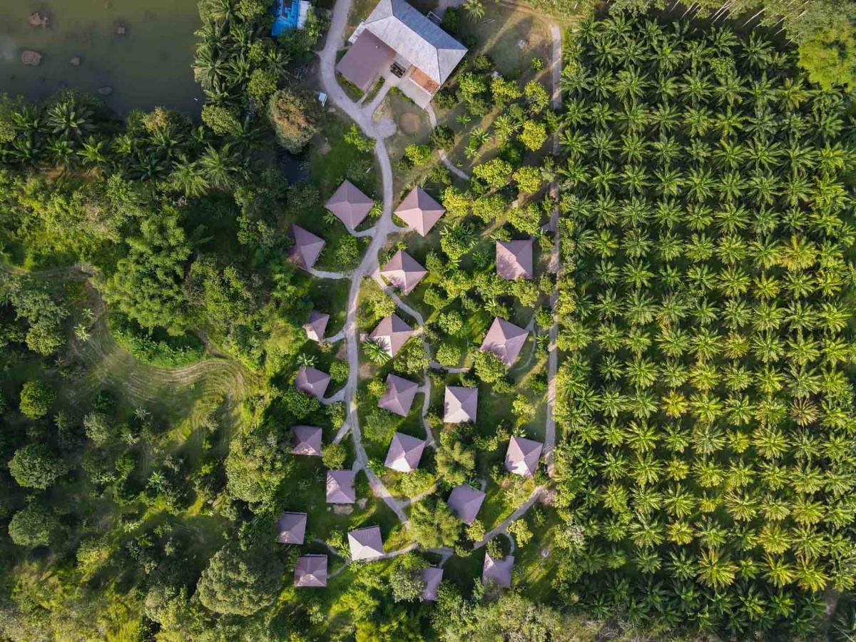 Monkey Mansion Jungalows&Tours Khao Sok National Park Exterior foto