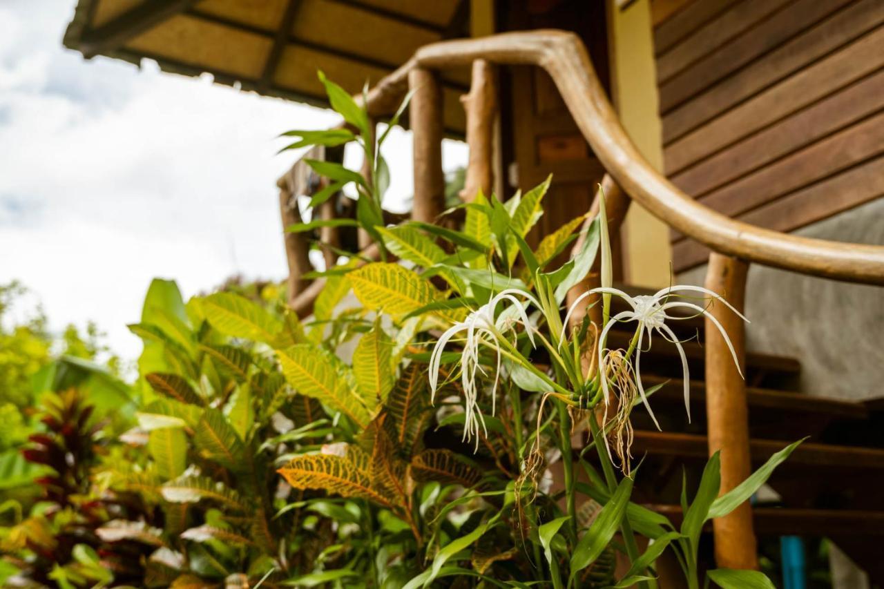 Monkey Mansion Jungalows&Tours Khao Sok National Park Exterior foto