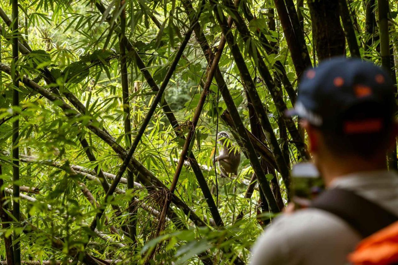 Monkey Mansion Jungalows&Tours Khao Sok National Park Exterior foto