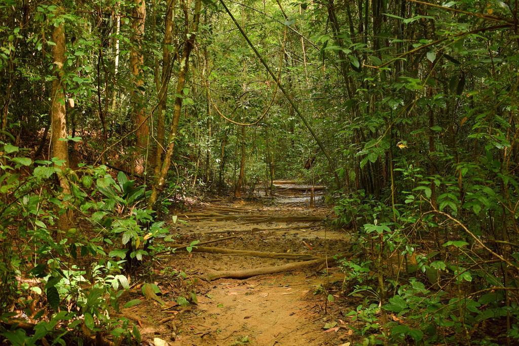 Monkey Mansion Jungalows&Tours Khao Sok National Park Exterior foto