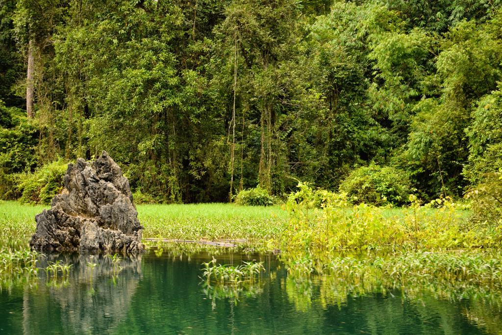 Monkey Mansion Jungalows&Tours Khao Sok National Park Exterior foto